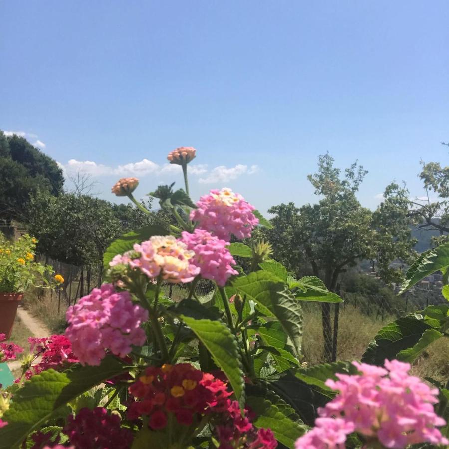 La Riggiola Bed & Breakfast ซาแลร์โน ภายนอก รูปภาพ