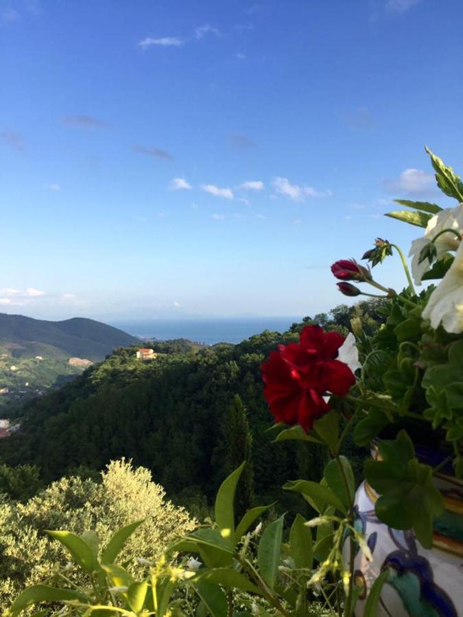 La Riggiola Bed & Breakfast ซาแลร์โน ภายนอก รูปภาพ